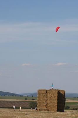IMG 5942